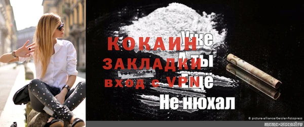 крисы Аркадак