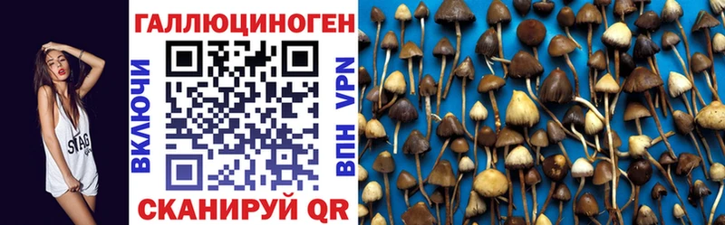 Псилоцибиновые грибы Magic Shrooms  как найти наркотики  Приморско-Ахтарск 